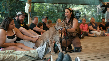 Watch Cult of Personality. Episode 2 of Season 1.